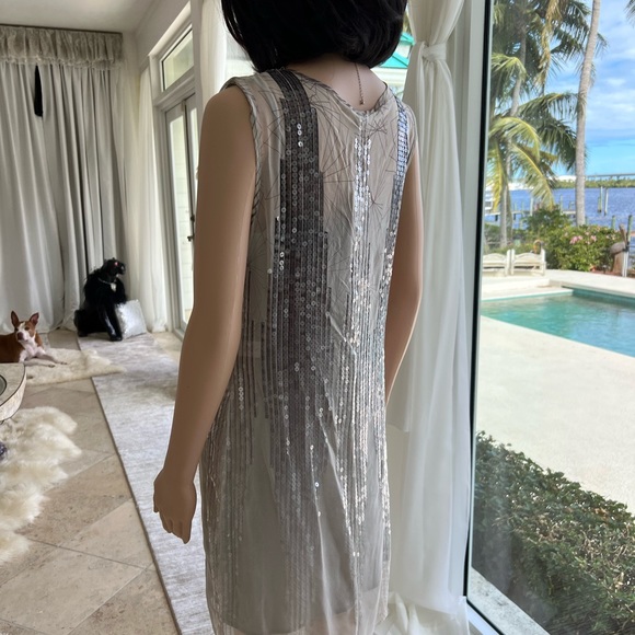 Silver sequin - Picture 9 of 11